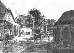 Picture by Edwin Young